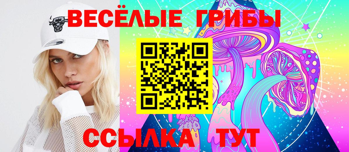 Галлюциногенные грибы ЛСД Хасавюрт